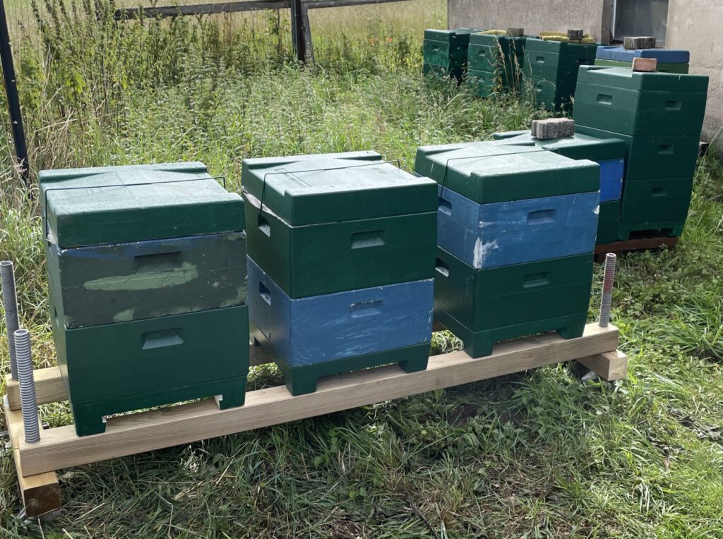 Bienenstock Waben Honig Bienenvölker Honig Waben Bienenstock
